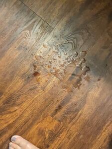 jennlee exclusive onlyfans leaked nudes