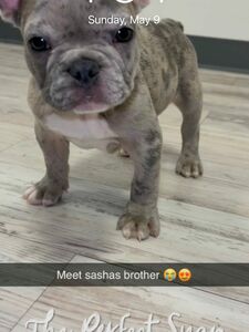 jmulaxxx exclusive onlyfans leaked nudes