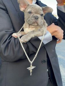 jmulaxxx exclusive onlyfans leaked nudes