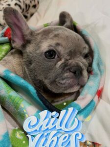 jmulaxxx exclusive onlyfans leaked nudes