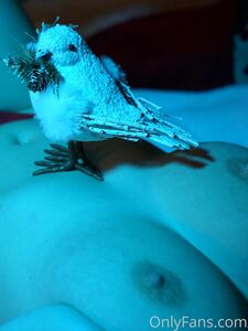 Blakeblossomxxx new hot onlyfans leaked nudes