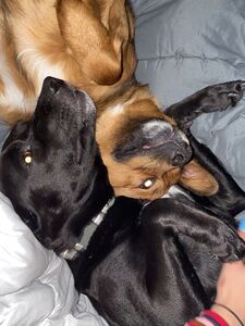 yungest nugget new hot onlyfans leaked nudes