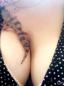 Babylaur new hot onlyfans leaked nudes