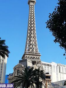 genieroman666 new hot onlyfans leaked nudes