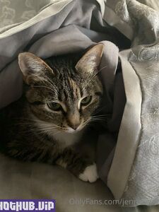 jenniferwhite new hot onlyfans leaked nudes