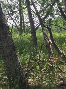 abigale mandler onlyfans leaks nude